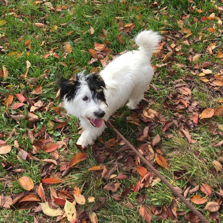 62277307 74ce 42e4 95a4 ebb3f1f0fdbd