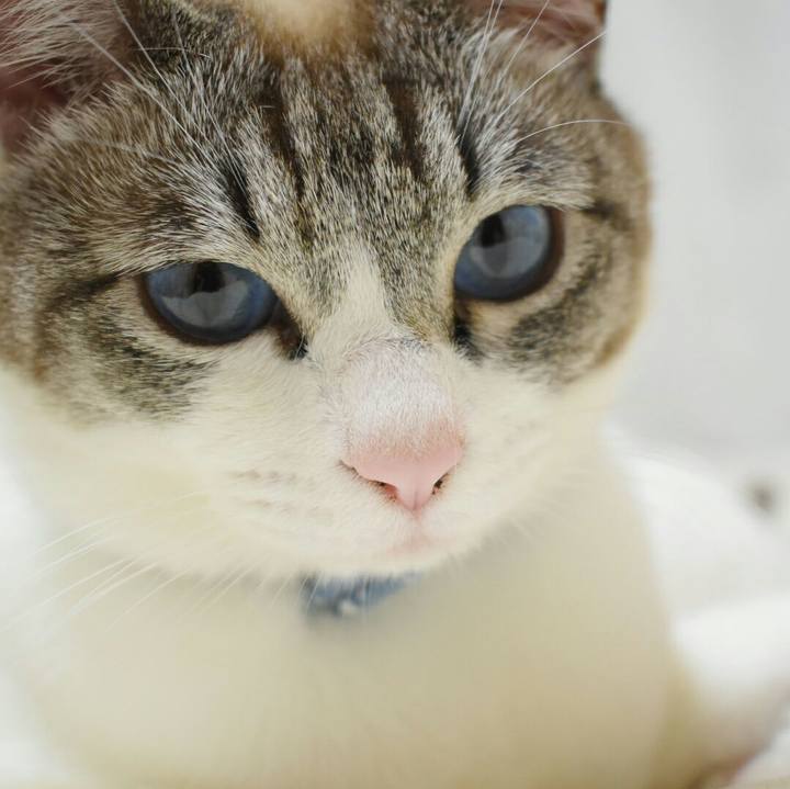 6227783b e571 43db b4d5 eee4265cbf17