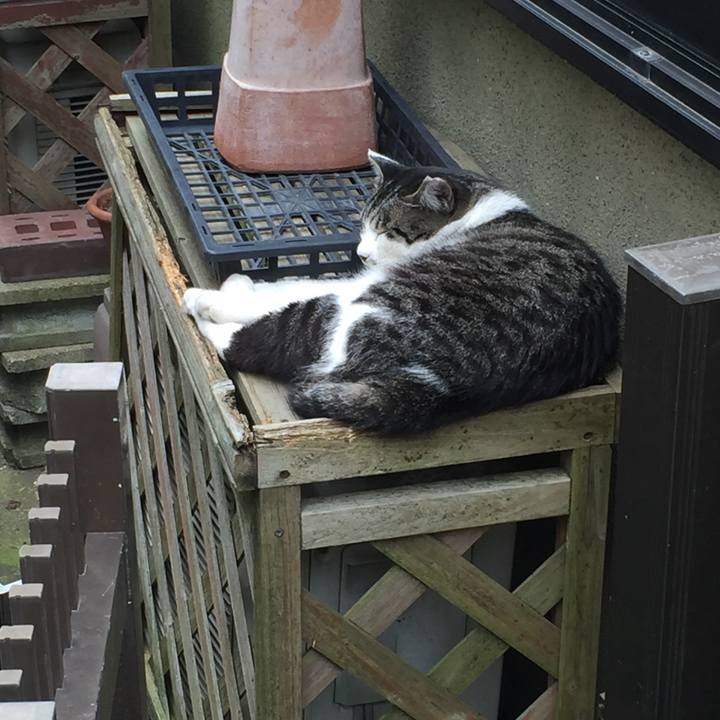 6227eb3f b113 40ba 9b94 9876d9cb9aa4