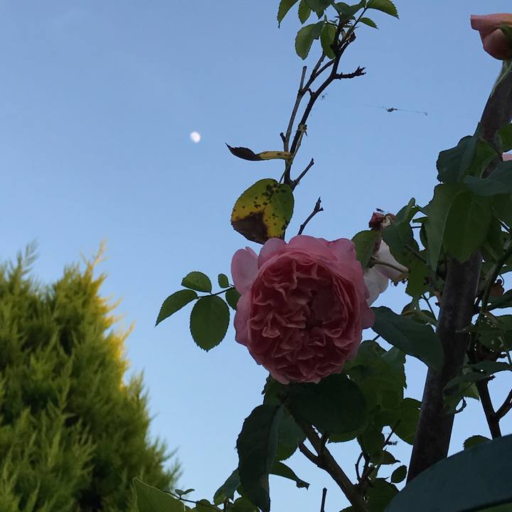 62282066 21f6 48c8 a709 dbef1bfb2317