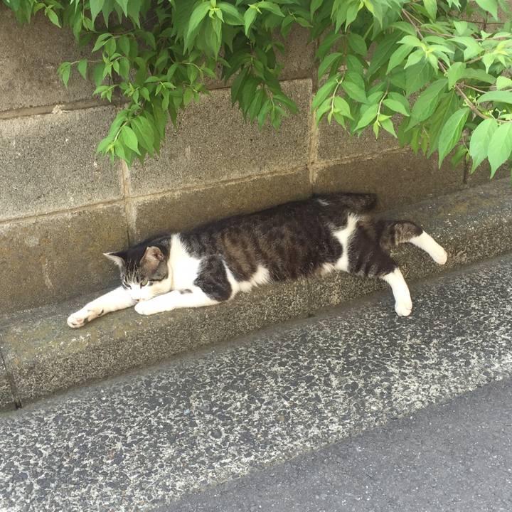 6228a719 5a97 40f8 8ed6 28d8890865d4