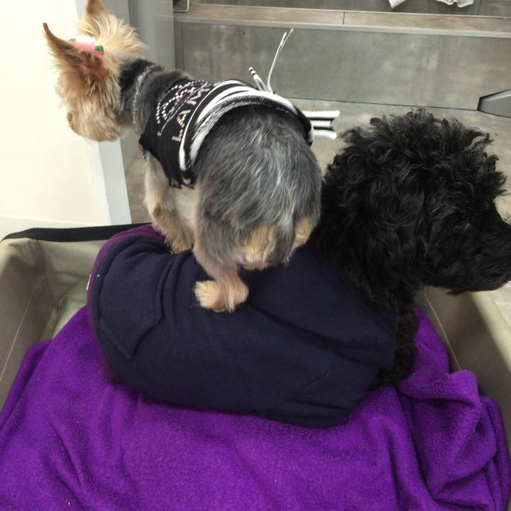 62296248 08c9 4732 ba47 d45a63e84b2e