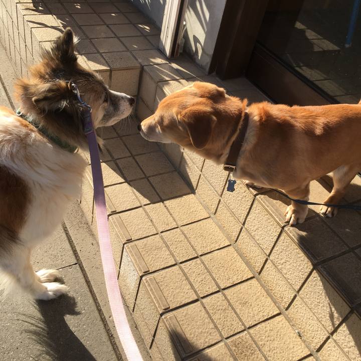 622a03bf 62b7 464c ae0d 0cb7c2679d44