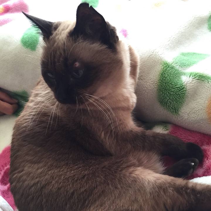 622addfd c746 439d 8f6e 5f2d97f3298f