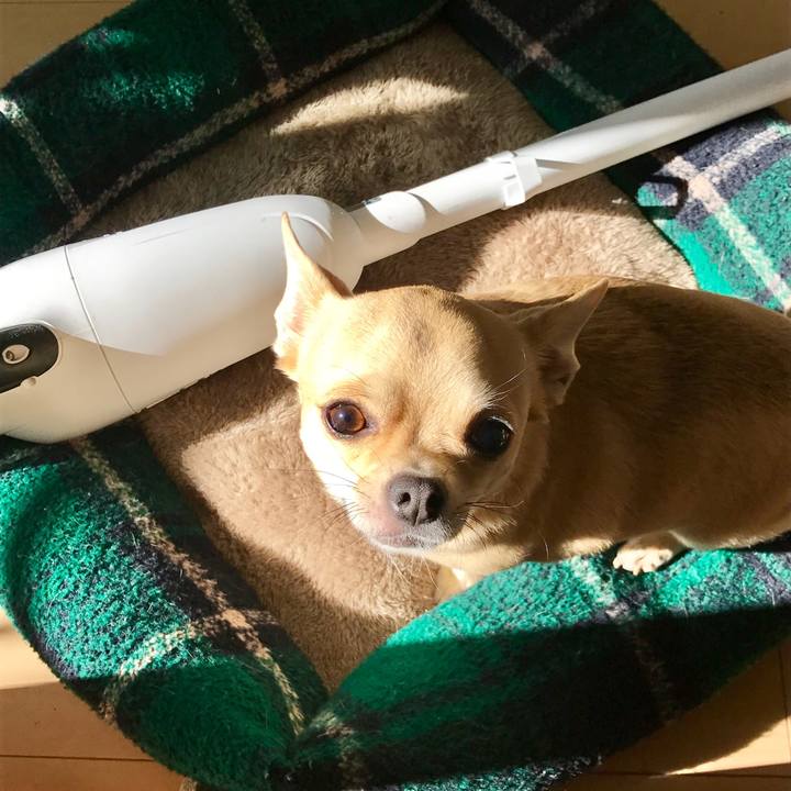 622b0fe0 c510 4040 ad58 12ad07797f86