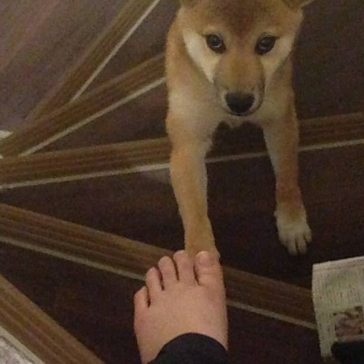 622beabe 41e2 4b3f b290 e80a31d0feb2