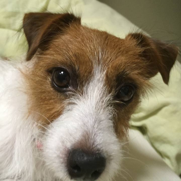 622c5c71 7733 4834 9d10 644757257f7b