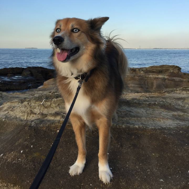 622cb583 9926 425e ba6d 083201b4eae2