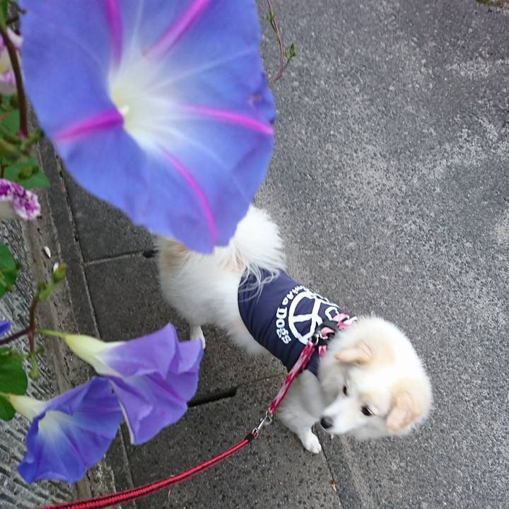 622d6906 7255 4f6c 8066 3c2377ad42ce