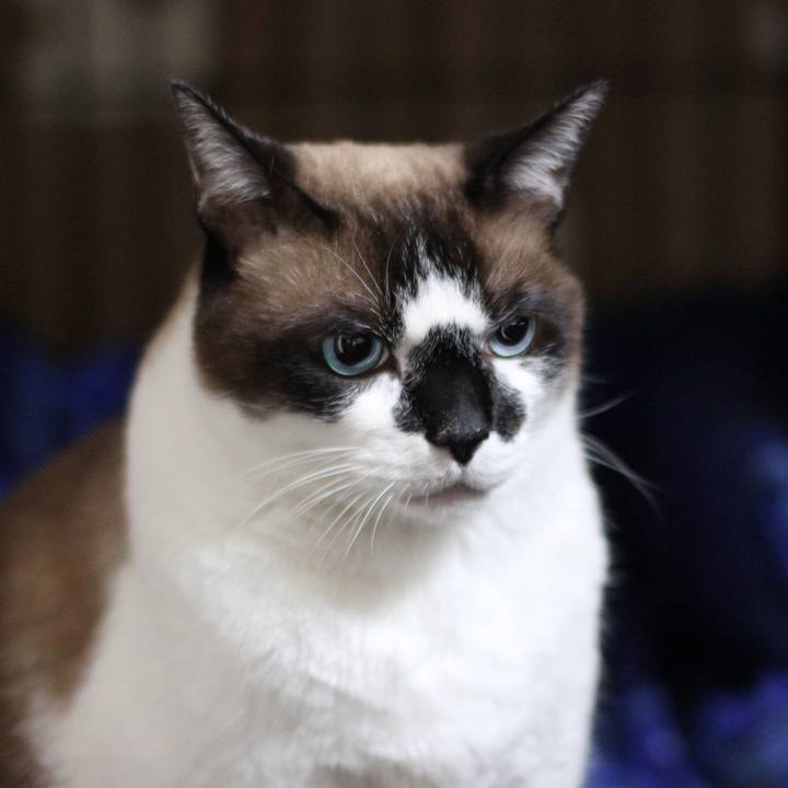 622dc663 5ff3 4262 a5e1 95e2afdce3d3