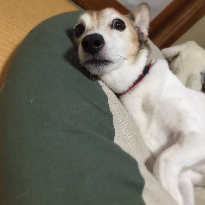 622de322 3941 4846 8be6 f3c131298fc8