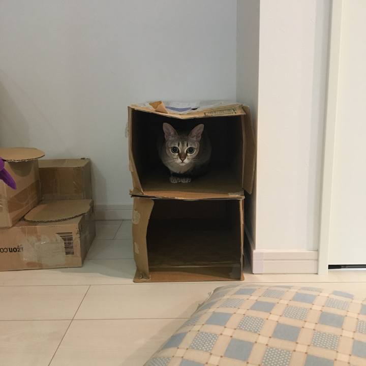 622de474 e5b2 49ff b96c 0ee0808a3590