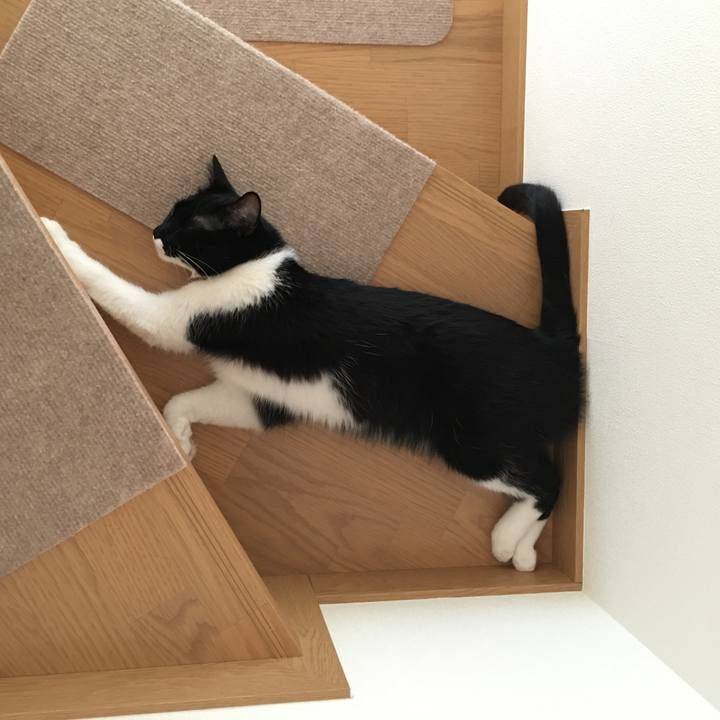 622ee3f4 0357 4f4d 973d adae826b62f7