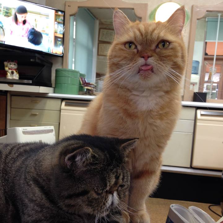 622f0794 52c0 4e33 8996 3b96416b52bc