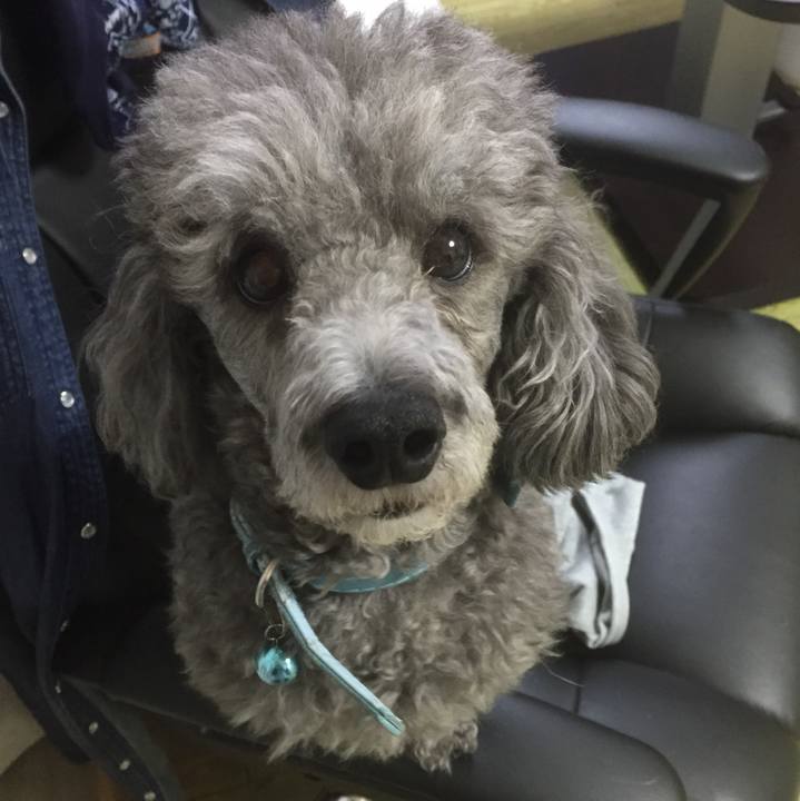 622fdbc9 8755 49f2 8283 ae14b5bbba32