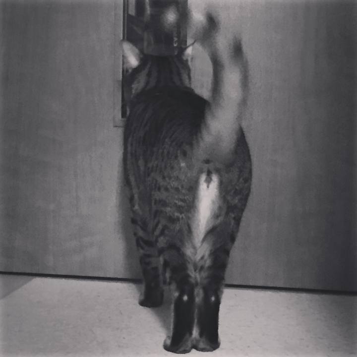 622ff278 a57e 4a07 95df 94d32f0a5659