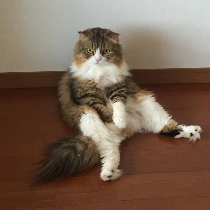 62300a67 3dbc 42f1 a965 e5f378da7a17