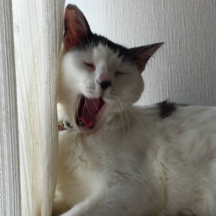 623038e8 96c1 46a9 b1e0 6f4ad26ec3d9