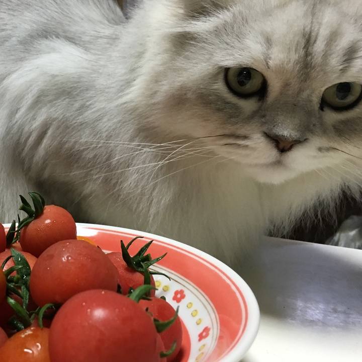 62303b29 ab4e 48aa 9886 e44fb424aeb2