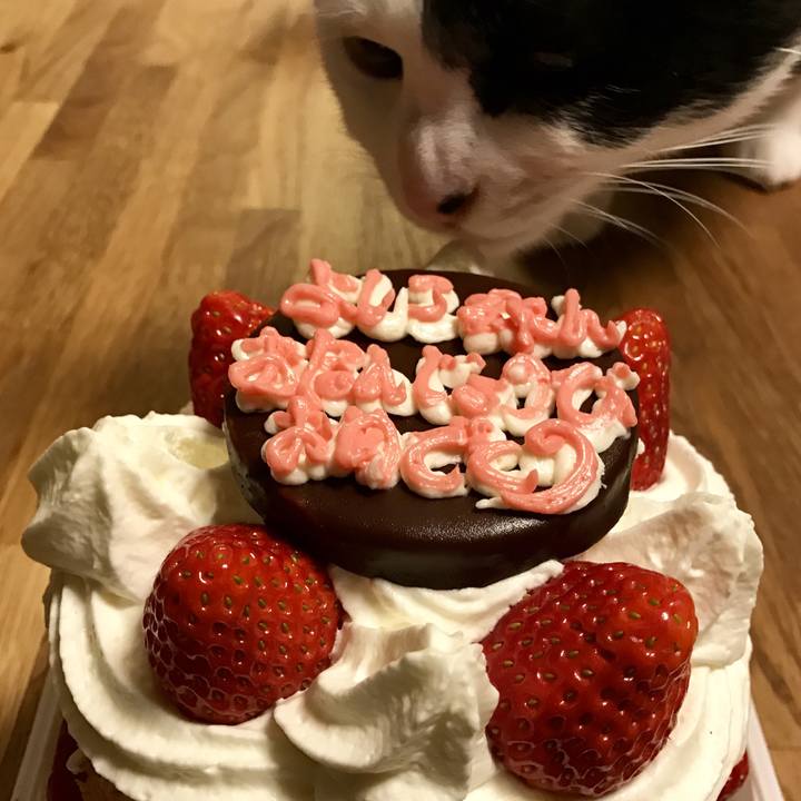 6230f32d 5772 45a3 87fb 1ac130c368ba