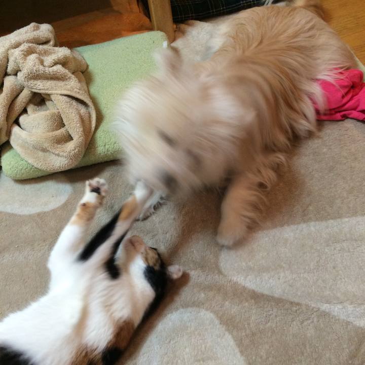 6231381b 1487 4ea1 a571 6e669740bb33