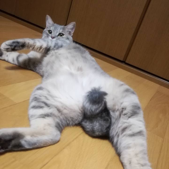 62319c57 0dcd 414d 9200 76b438478cd6