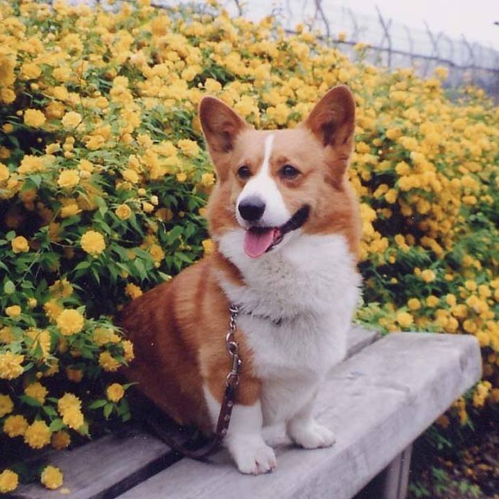 6231bc9f ad9e 446d 9685 f4f9845baec0