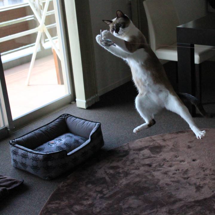 62323e91 8ec4 48ac b535 2841212286b3