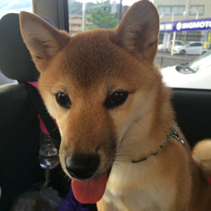 623279be 4349 4a23 b2d9 8f1e847fa7f5