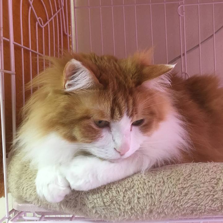 623281c3 8074 4f6a bf92 7b8cf6188fb6