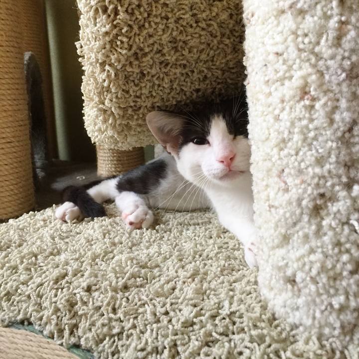 6232b636 6301 418e ae66 5d5a6a7cb727