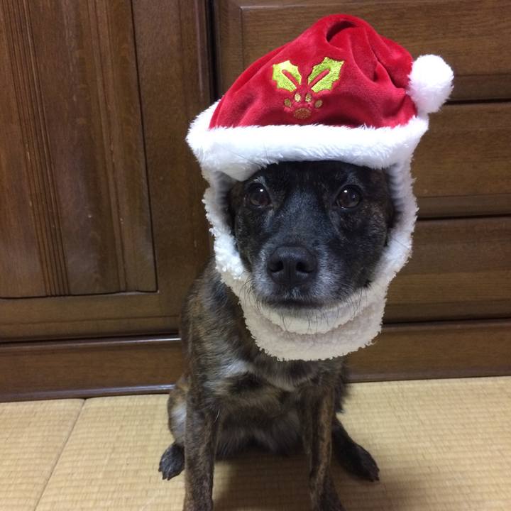 6232cca2 dde5 4fbb b312 6a609400feec