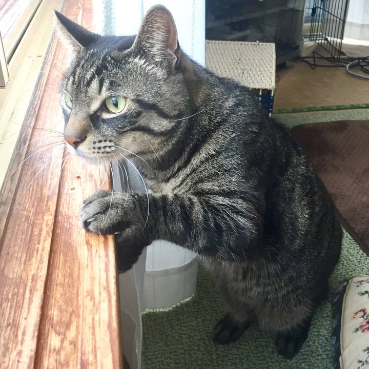 6232f6e5 1d41 41bf a920 a3eb25e109c6