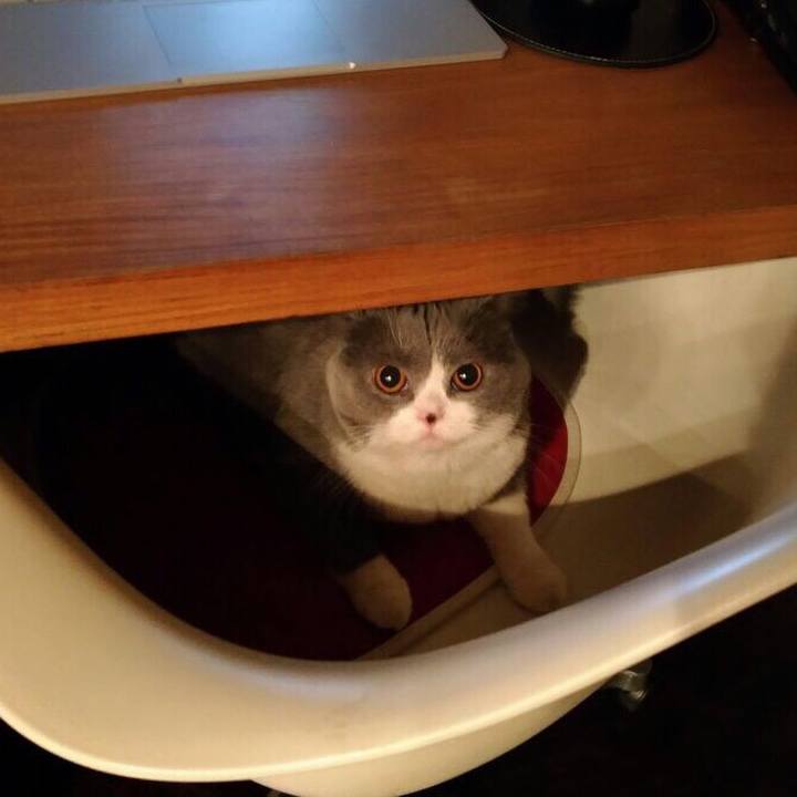 62330598 5c29 46f9 9906 4bfae725eb6e