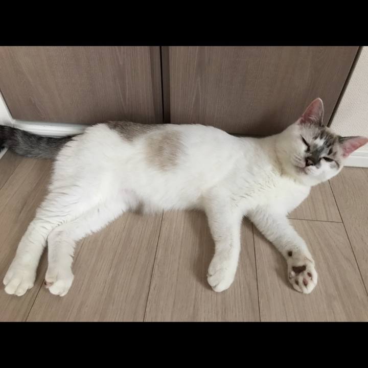 6233464b af4c 4c23 9a86 bca7f45b733c