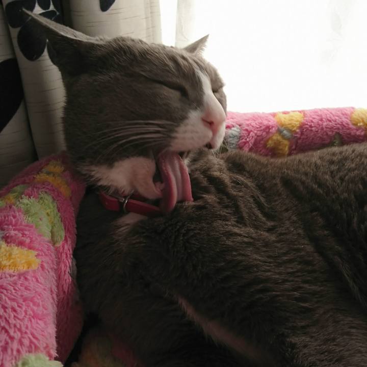 62334d37 6c25 4262 8544 e1dfd213fdd1