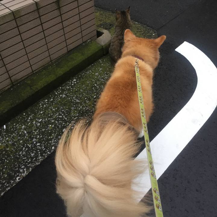 6233656d 845b 43a2 9fa5 787aa160fac3