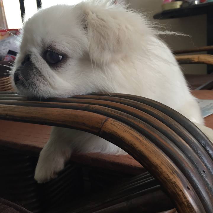 623367e3 41a2 426f 99c8 a464b5f2ab88