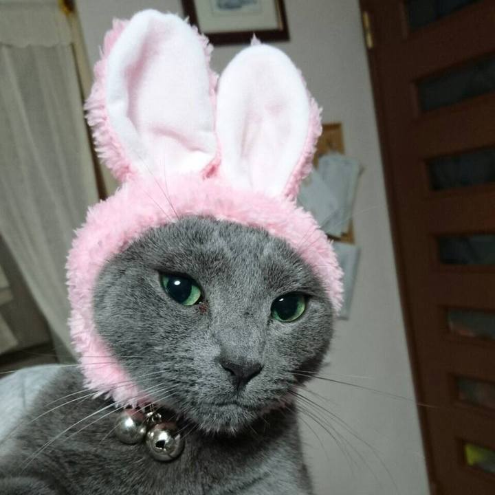 623411e9 3051 49ce a256 a32f801e9beb