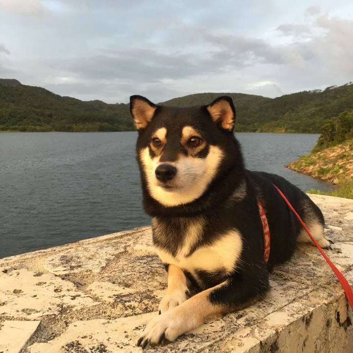 6234a60f 8760 4abc b707 03cb1c6df169