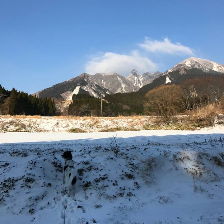 6234e0f9 e07c 46d5 9c52 ef4e5f5e8159