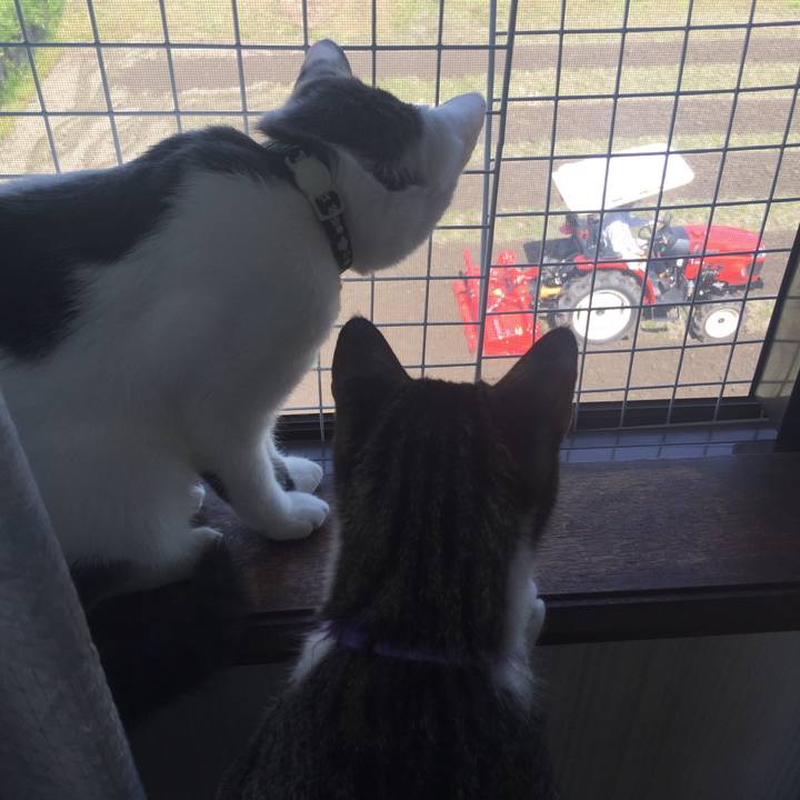 62359120 3d1a 4d69 bbd4 70a647fcba5f