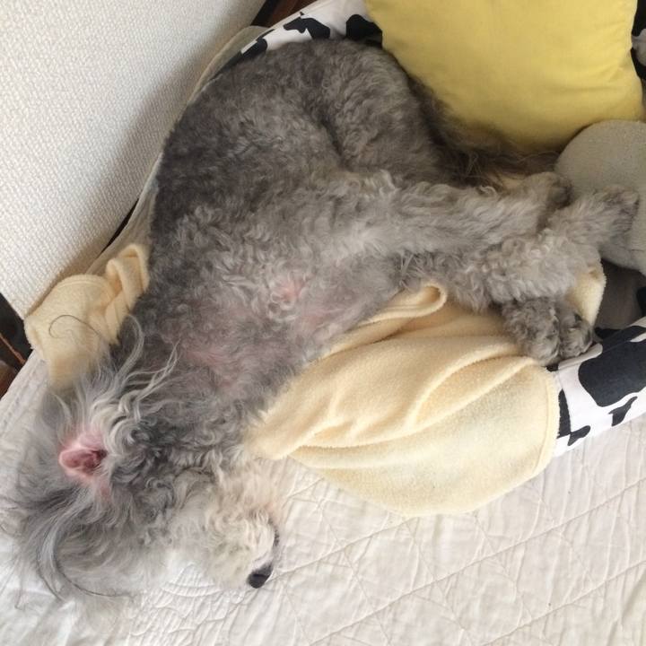 623595e9 58a0 4d13 987e 75e281c92da3