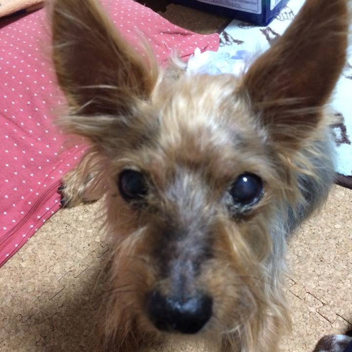 62365b13 828e 48b6 8d7e 243f8f2872a8