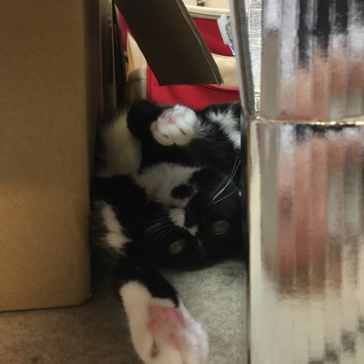 6236f475 63d3 458e b35d 2e8acc63b58d