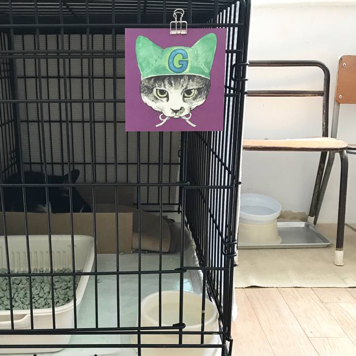 62371641 b48e 4e92 af90 00e3c98437b8