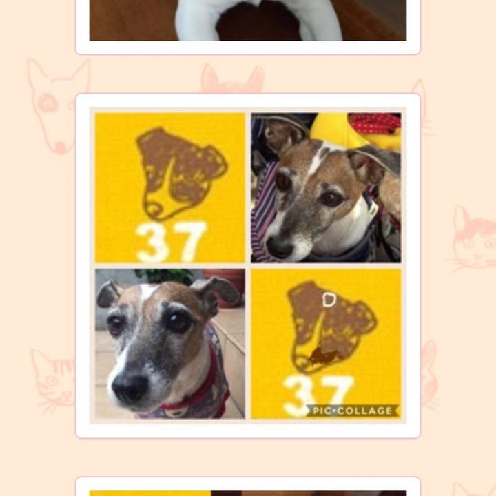 62374098 3af4 4321 b772 f49686a03760