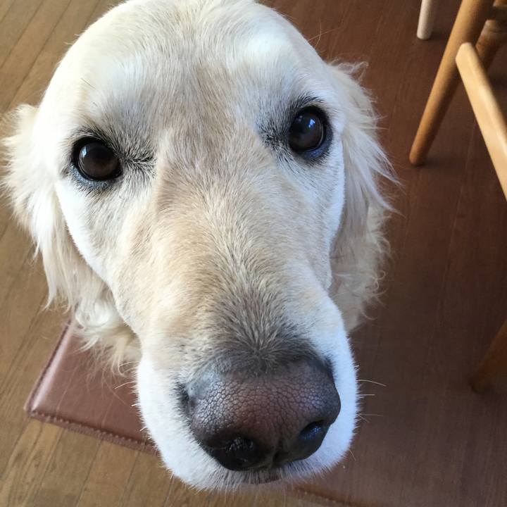 6237f398 7676 4bd0 8a6f 298c6cb32242