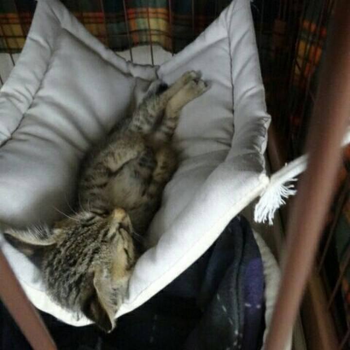 62389924 697c 448b 826b 011e6dfe2865