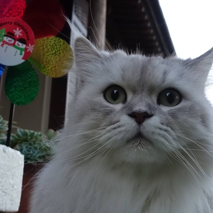 62389e7a 2ec0 4fbb a189 e89e9f83c208